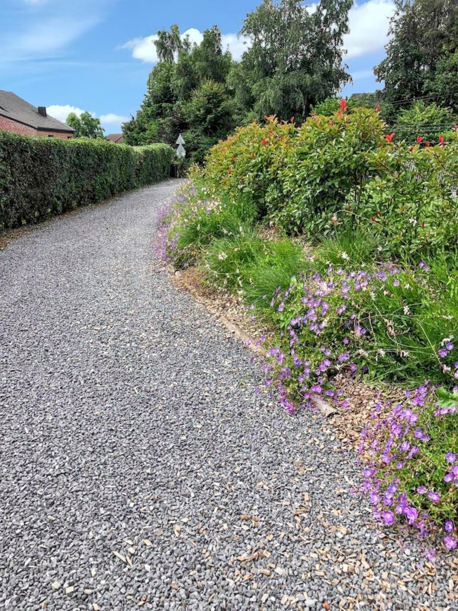 Charming House In Hamois With Shared Poolヴィラ エクステリア 写真